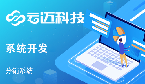 企業(yè)開發(fā)分銷系統(tǒng)有哪些運營優(yōu)勢？